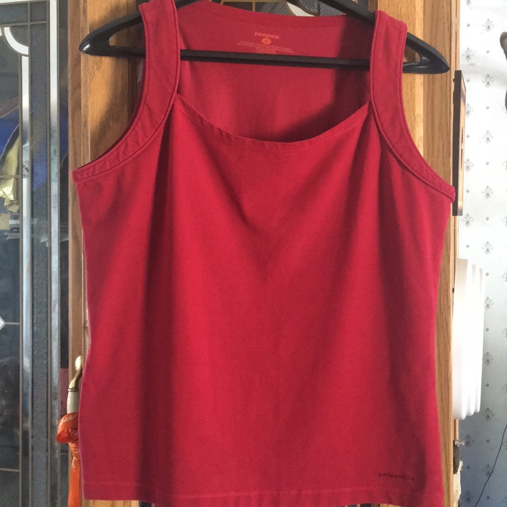 Patagonia top 👚